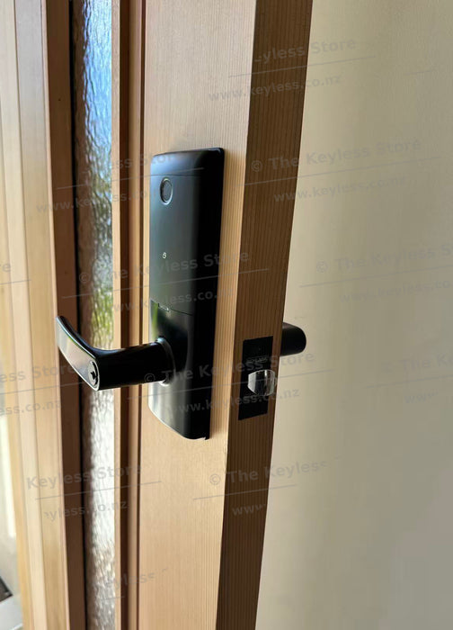 Schlage Ascent Fingerprint Smart Entrance Lever